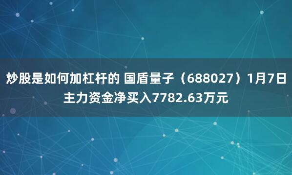 炒股是如何加杠杆的 国盾量子（688027）1月7日主力资金净买入7782.63万元