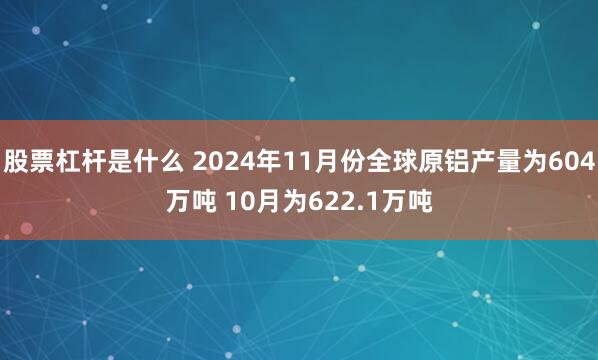 股票杠杆是什么 2024年11月份全球原铝产量为604万吨 10月为622.1万吨