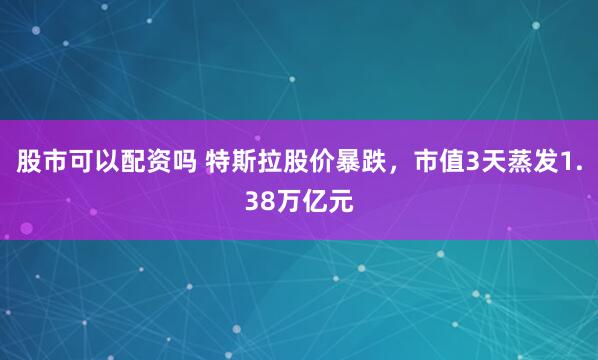 股市可以配资吗 特斯拉股价暴跌，市值3天蒸发1.38万亿元