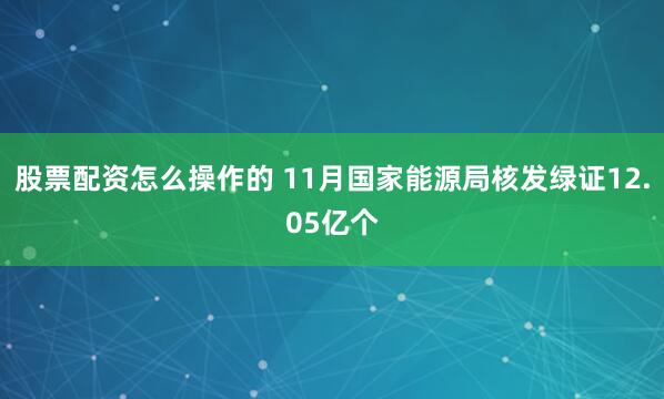 股票配资怎么操作的 11月国家能源局核发绿证12.05亿个