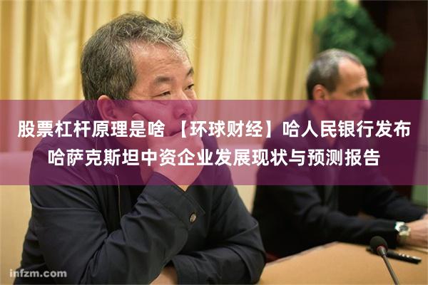 股票杠杆原理是啥 【环球财经】哈人民银行发布哈萨克斯坦中资企业发展现状与预测报告