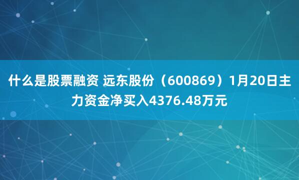 什么是股票融资 远东股份（600869）1月20日主力资金净买入4376.48万元