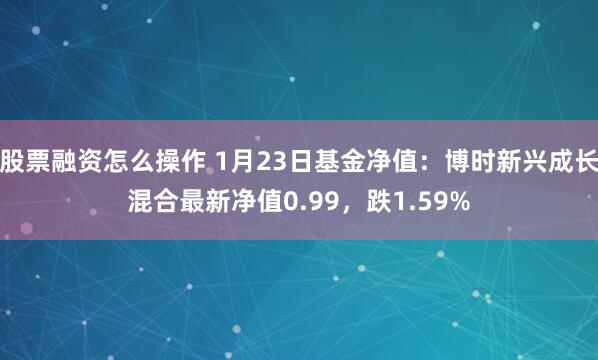 股票融资怎么操作 1月23日基金净值：博时新兴成长混合最新净值0.99，跌1.59%