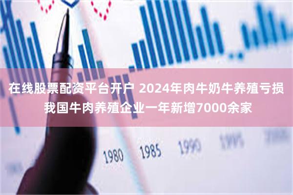 在线股票配资平台开户 2024年肉牛奶牛养殖亏损 我国牛肉养殖企业一年新增7000余家