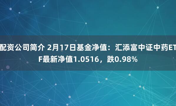 配资公司简介 2月17日基金净值：汇添富中证中药ETF最新净值1.0516，跌0.98%