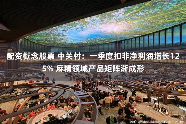 配资概念股票 中关村:一季度扣非净利润增长125% 麻精领域产品矩阵渐成形