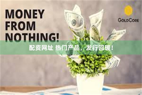 配资网址 热门产品,发行回暖!