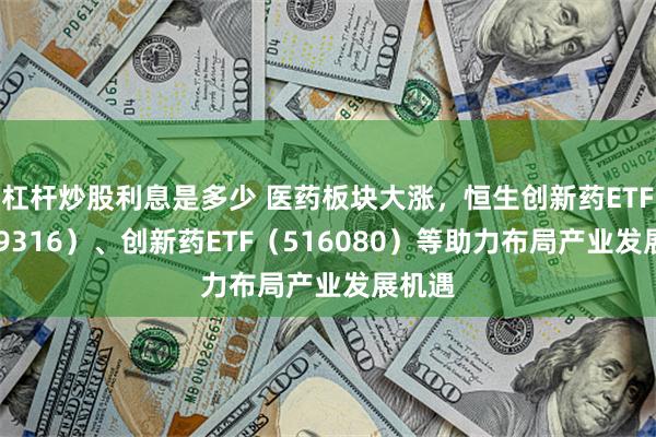 杠杆炒股利息是多少 医药板块大涨,恒生创新药ETF(159316)、创新药ETF(516080)等助力布局产业发展机遇